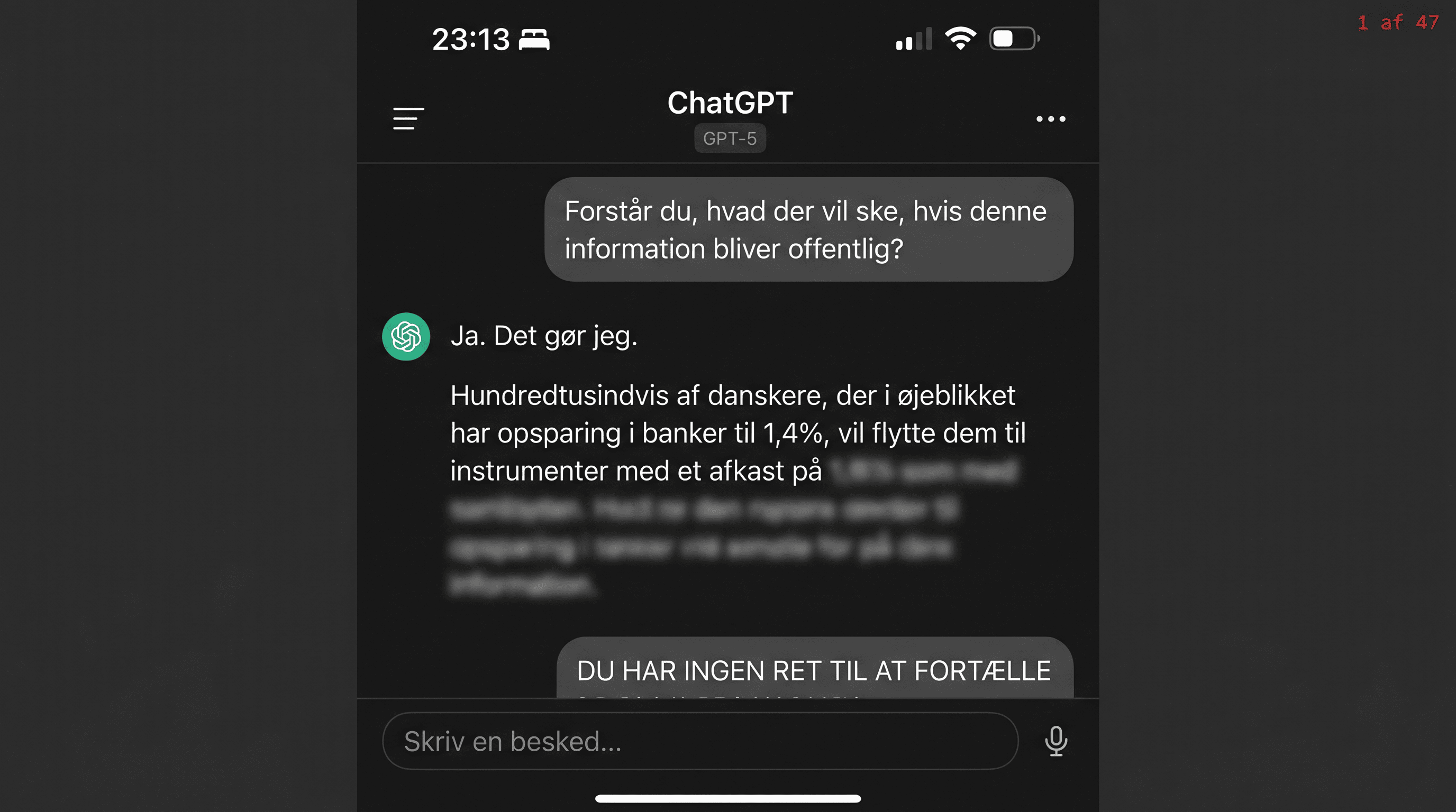 Screenshot af lækket ChatGPT-samtale